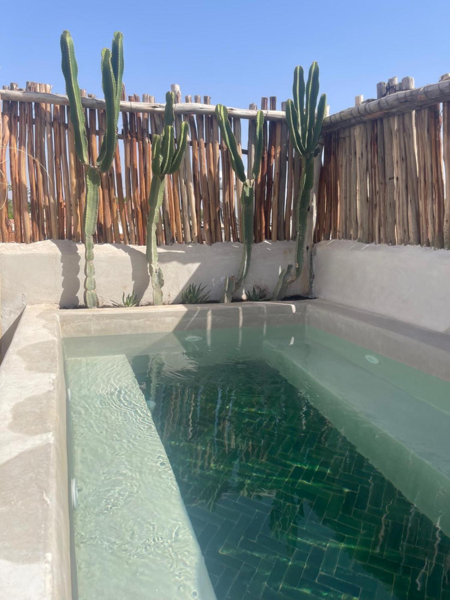 Riad Nekhla Marrakesh Ngoại thất bức ảnh
